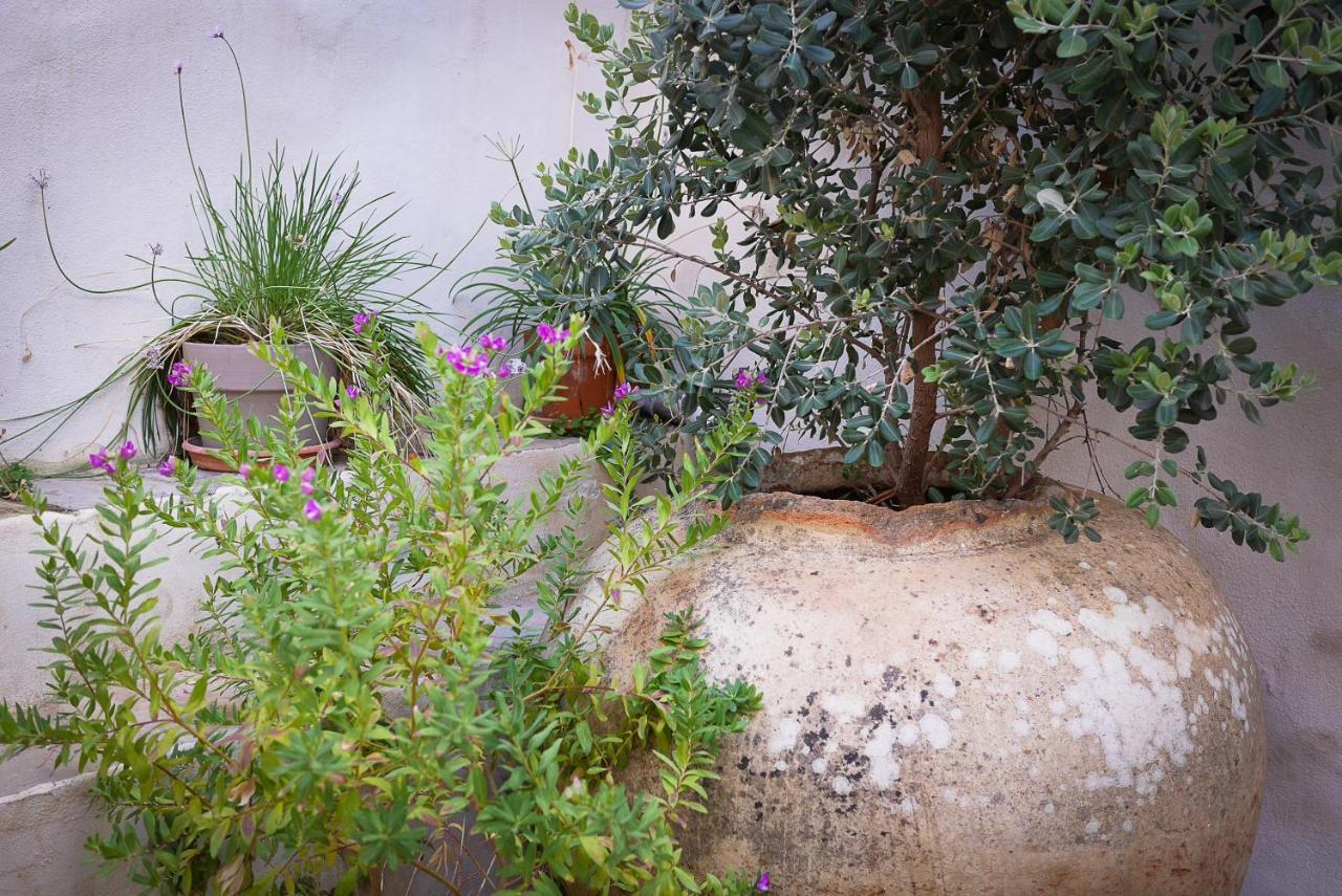 La Pileta - Grupo Califa Daire Vejer de la Frontera Dış mekan fotoğraf